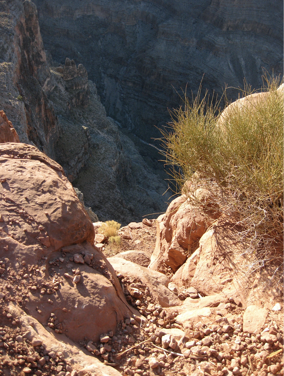 Screen Shot 2022-07-22 at 7.01.42 PM.png