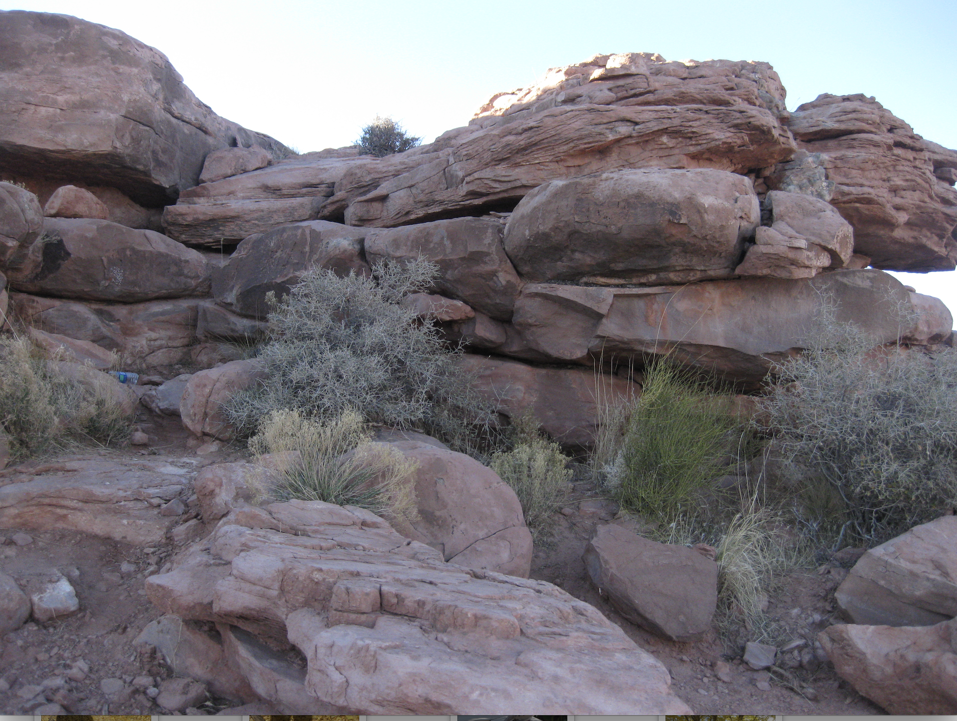 Screen Shot 2022-07-22 at 7.02.57 PM.png