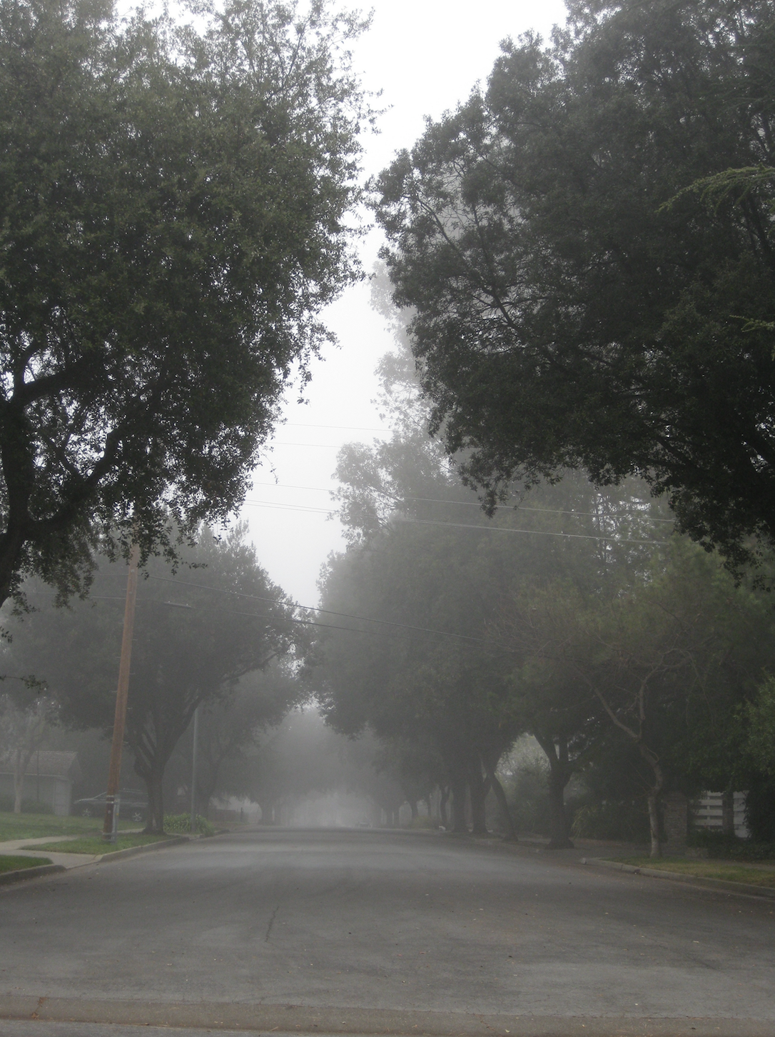 Screen Shot 2022-07-22 at 7.01.01 PM.png