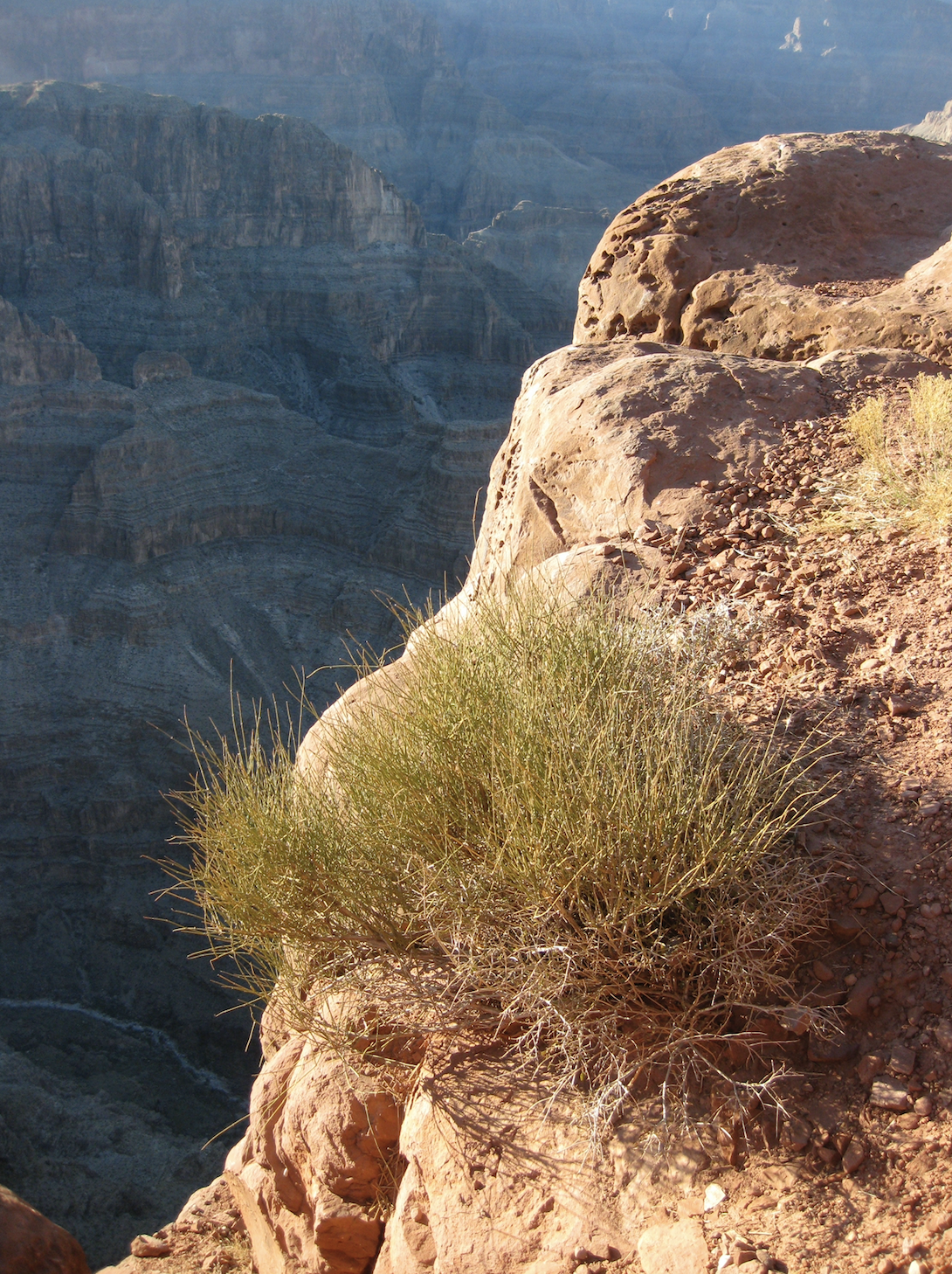 Screen Shot 2022-07-22 at 7.00.48 PM.png