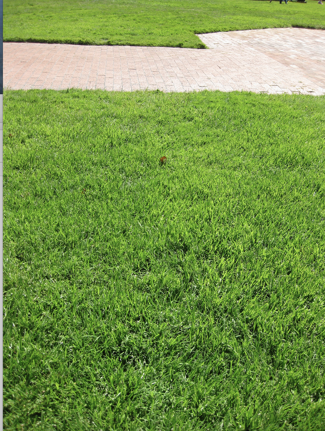 Screen Shot 2022-07-22 at 7.00.32 PM.png