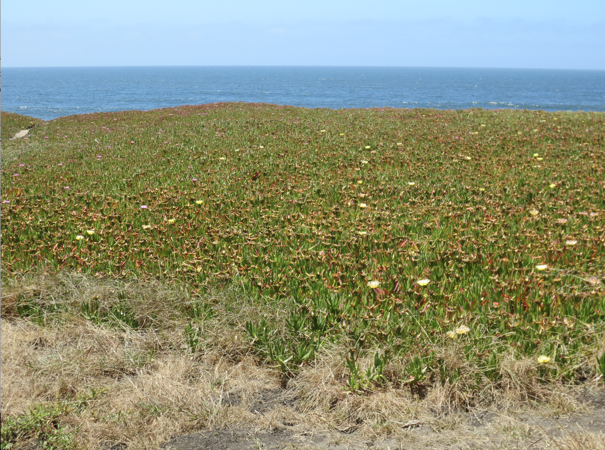 Screen Shot 2022-07-22 at 6.59.05 PM.png