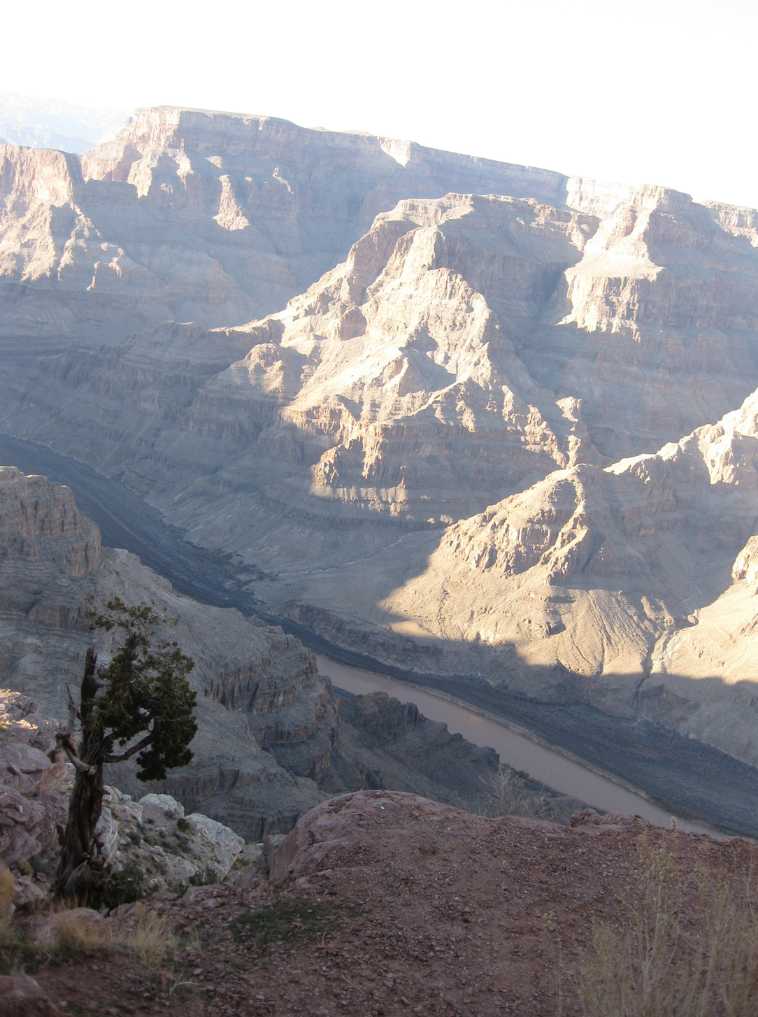 Screen Shot 2022-07-22 at 7.53.44 PM.png