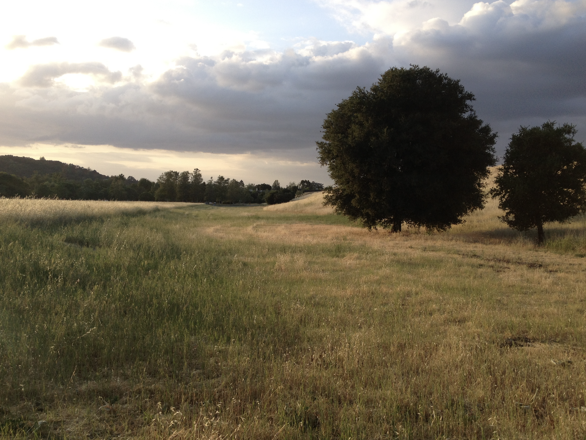 Screen Shot 2022-07-22 at 7.55.01 PM.png