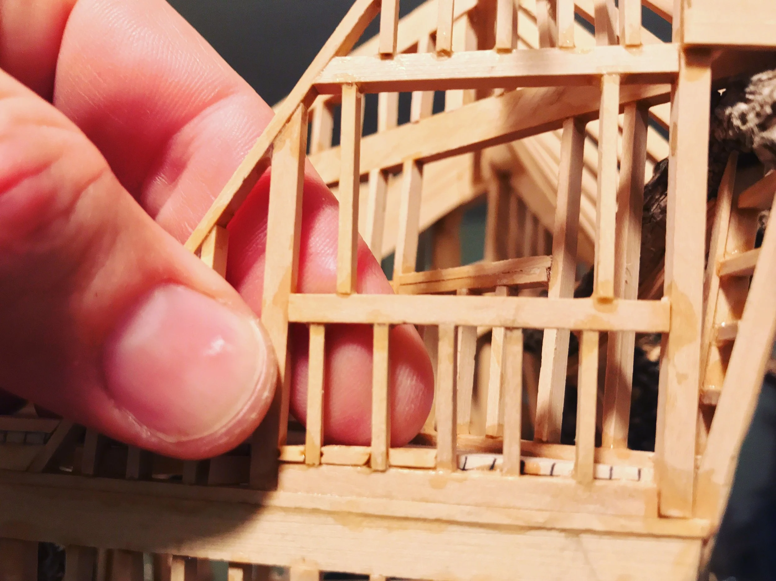 frame and finger tree house.jpg