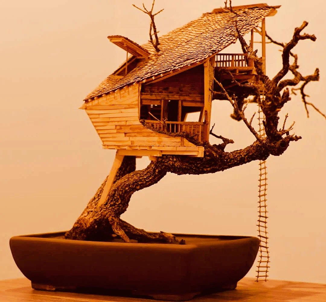 tree house with ladder.jpg