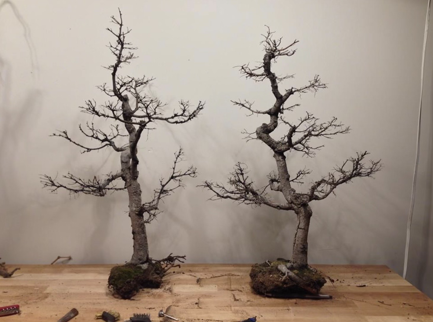 Image 7-19-22 at 8.01 PM 2.png