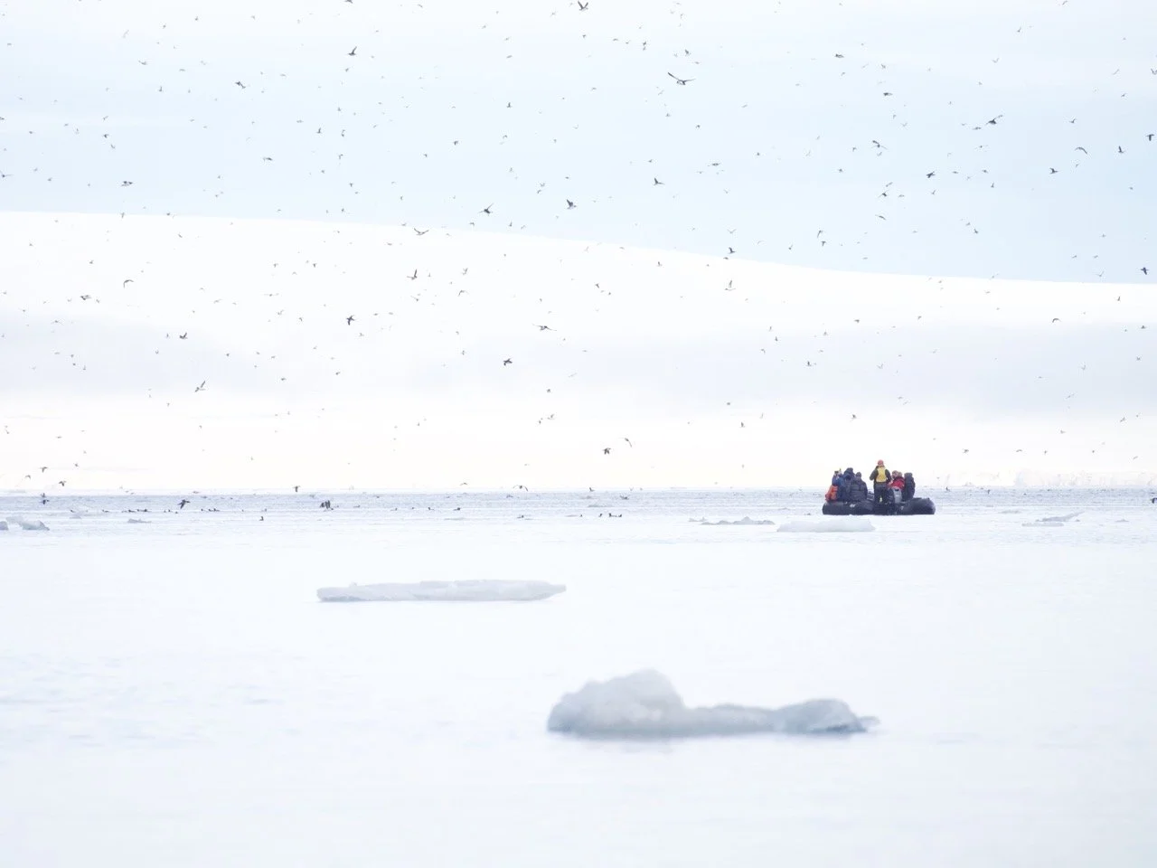 Pristine Arctic