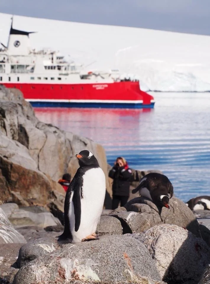 Red ship and penguin in Antarctica