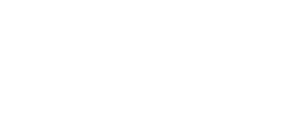 The Curious Traveller