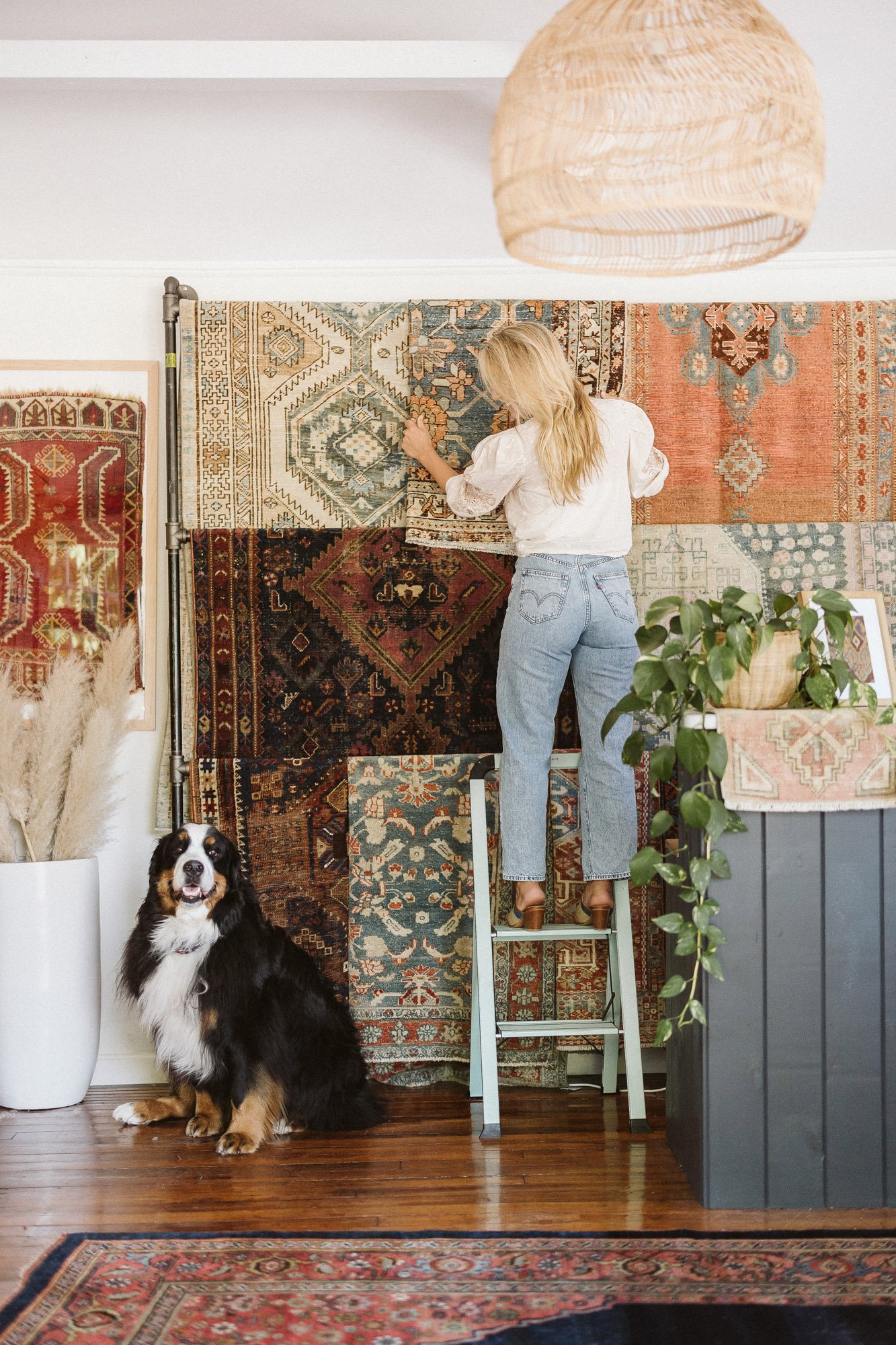 woman-on-step-ladder-arranging-vintage-rugs-branding-photographer-phoenix-boston.jpg
