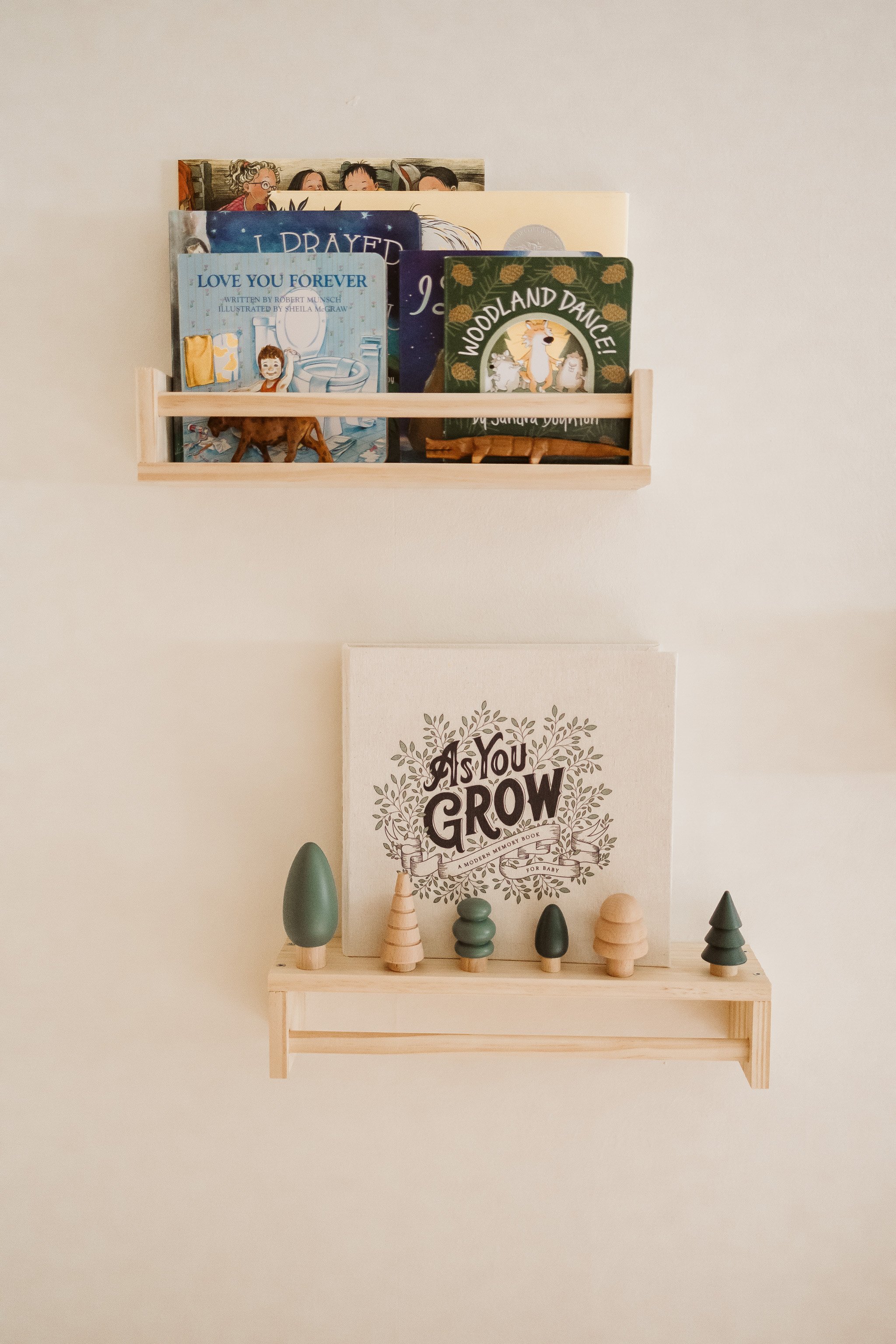wooden-bookshelves-new-baby-books-tree-ornaments-family-photographer-autumn-skye.jpg