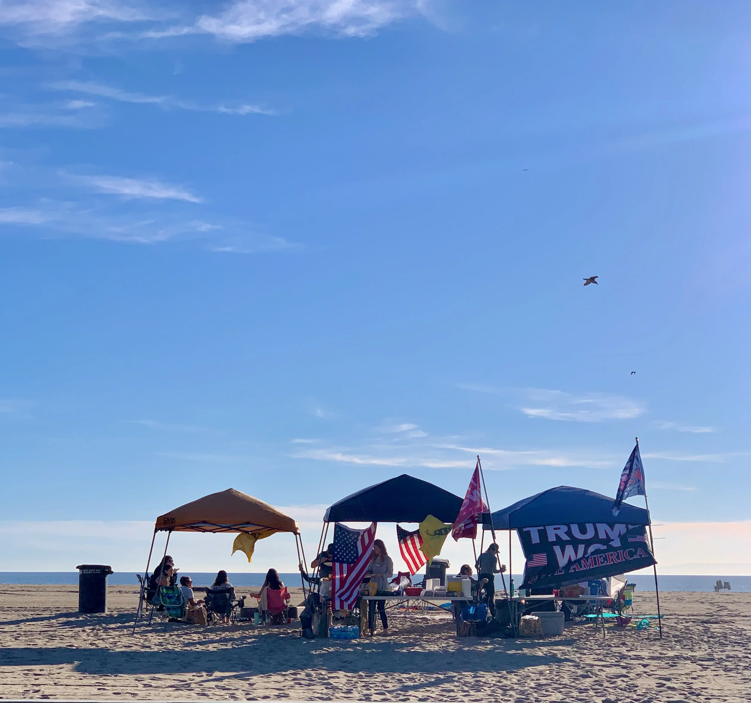 IMG_9821 (1).jpeg