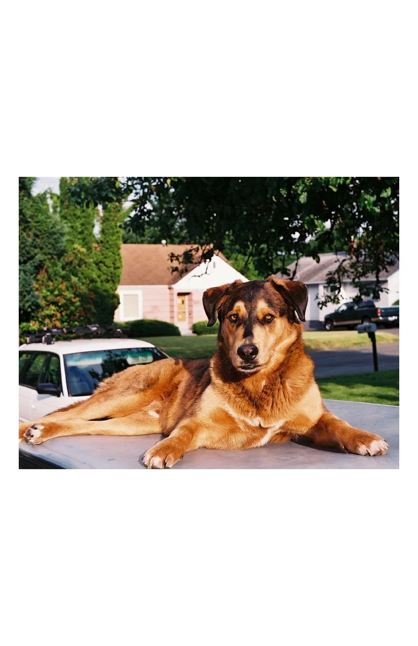 portraits_page-0019.jpg