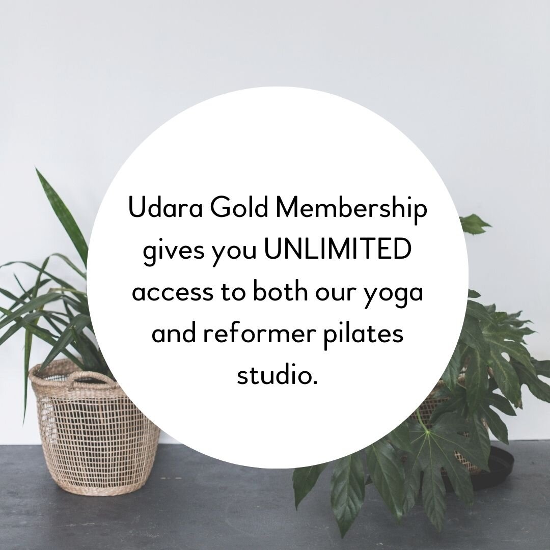 🌟 Udara Gold Membership 🌟 gives you UNLIMITED access to both our yoga and reformer pilates studio.⁣
We have over 50 classes each week on offer with highly qualified teachers and a dreamy community vibe. 

PLUS!

💻 You receive access to our extensi