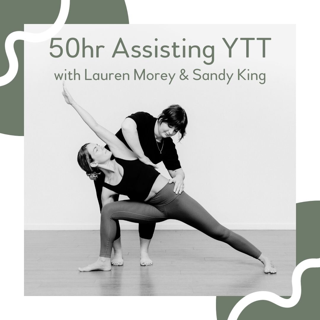 50hr Assisting YTT coming up in April+June with @sandykingyoga and @yoga_space_ 😍⁣
➡️ Link in bio for more details. 

#ytt2024 #ytt #yogateacher #yogateachertraining #yogahobart #hobartyoga #yogatasmania #tasmaniayoga #hobartpilates #reformer #refor