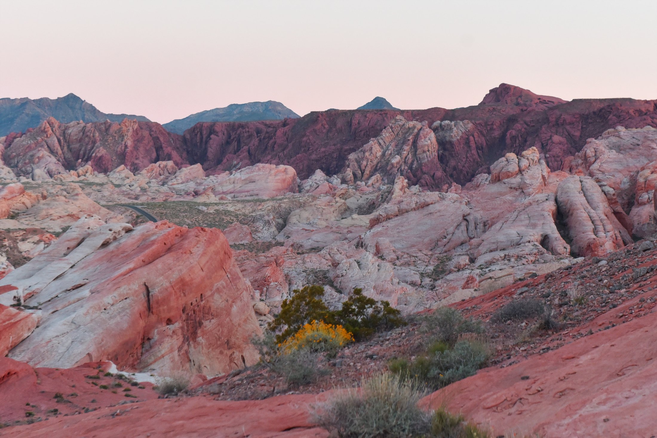 20190423_ValleyOfFire_03.JPG