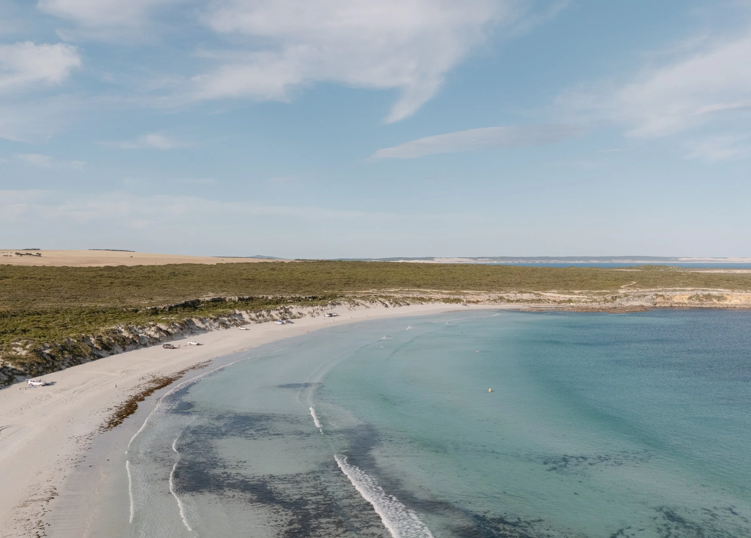 A coastal beach with white sand and gentle waves, bordered by green shrubbery and a clear blue sky.