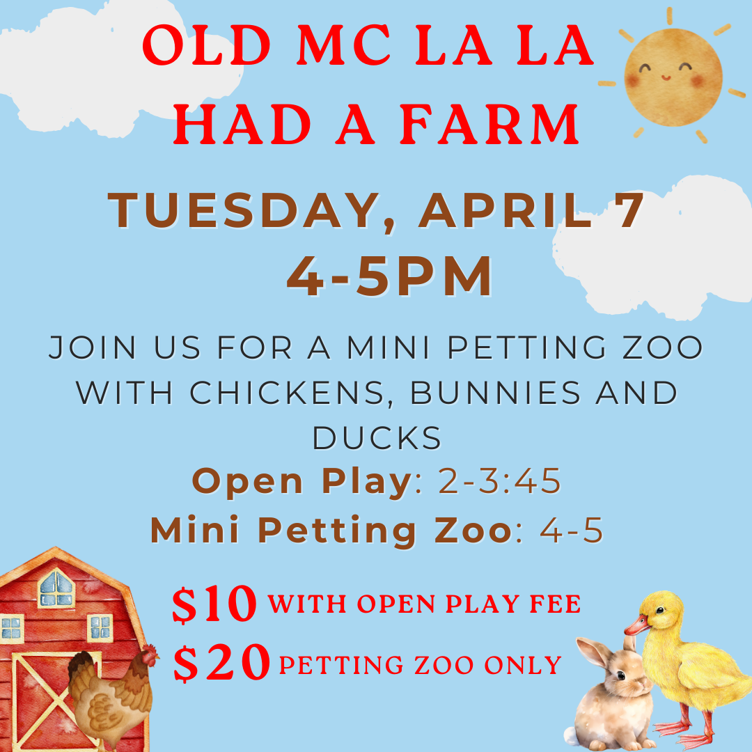 Open Play (With Mini Petting Zoo Add On)