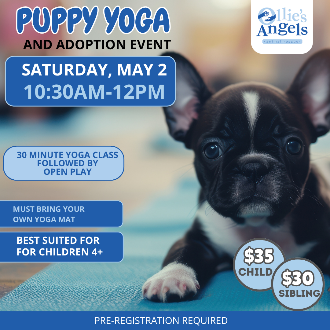 Puppy Yoga