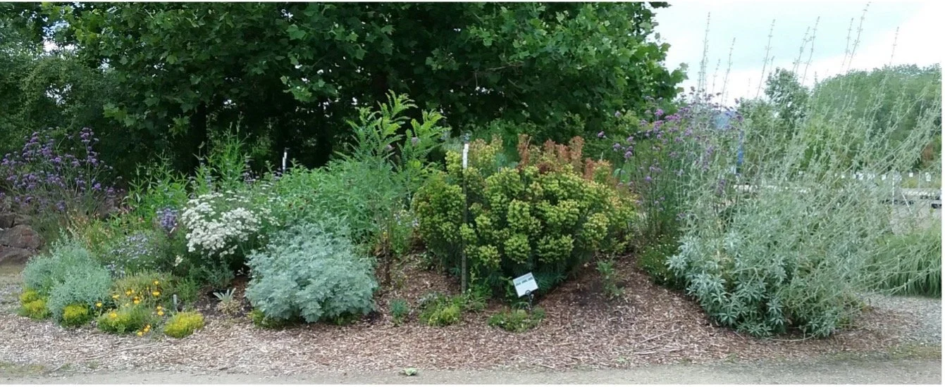 Spotlight on Hugelkultur - Nursery Display Garden Beds