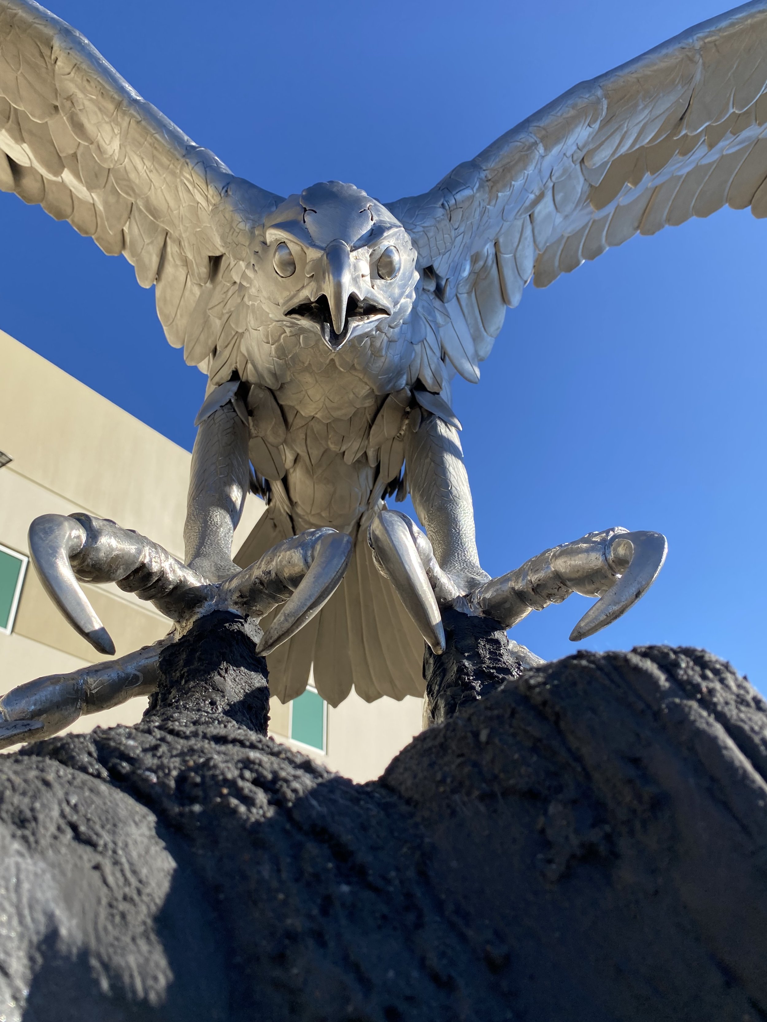 Photo Nov 10, 10 02 00.jpg