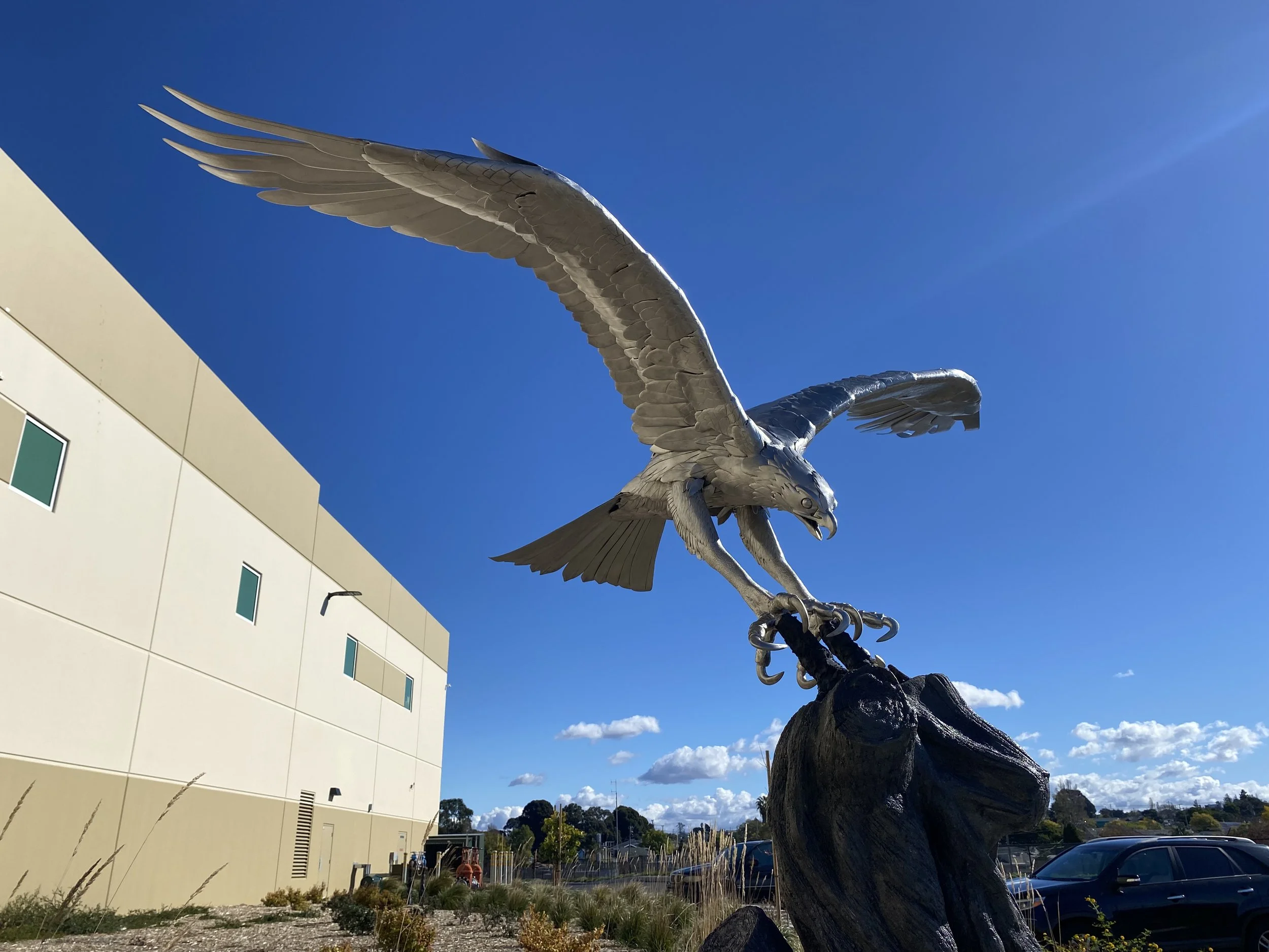 OSPREY Richmond Nov 09, 11 26 22.jpg