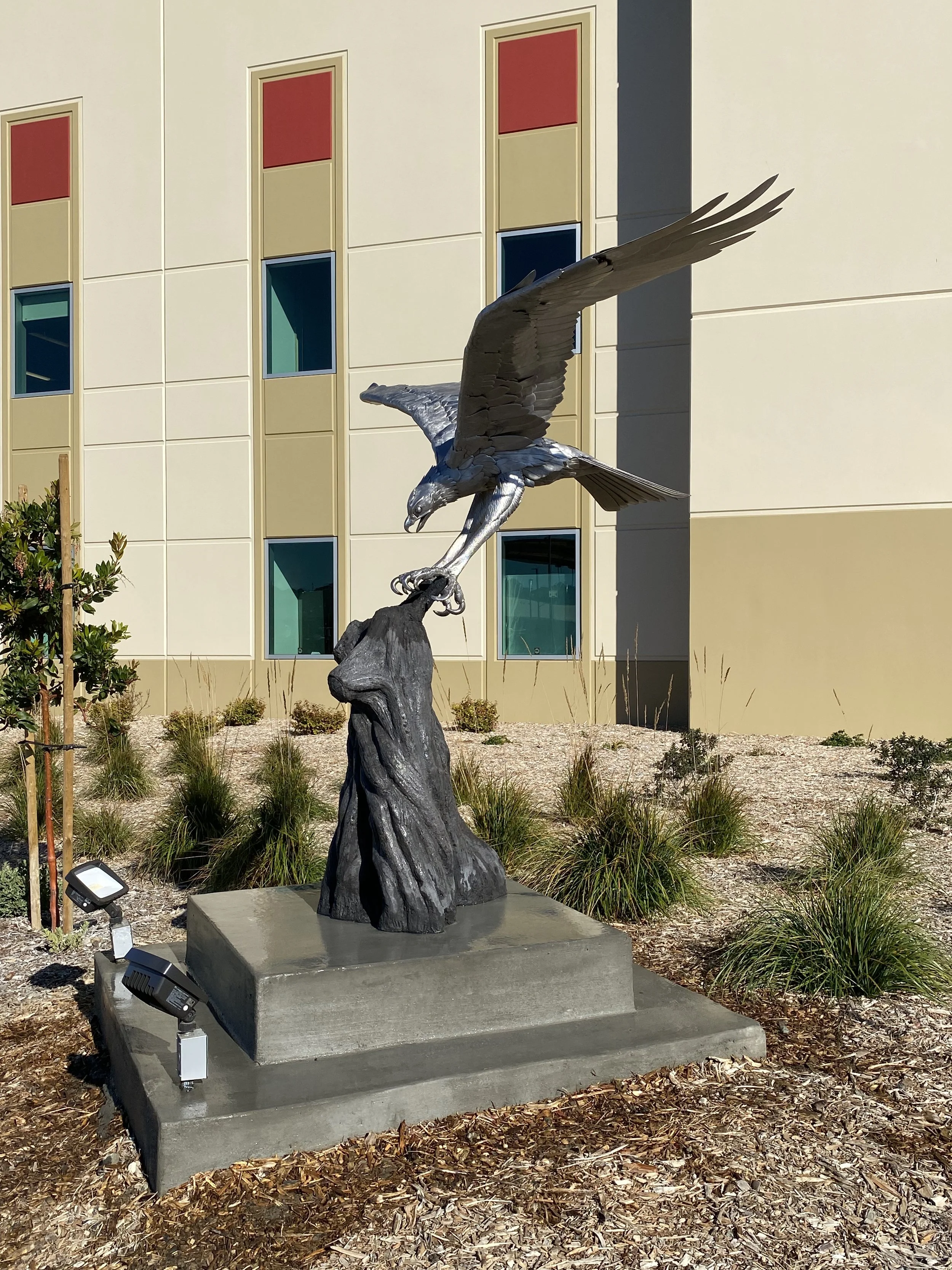 OSPREY Richmond Nov 10, 09 54 56.jpg