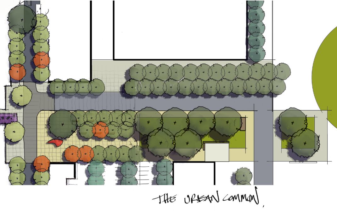 Highfields Central Master Plan, TRC