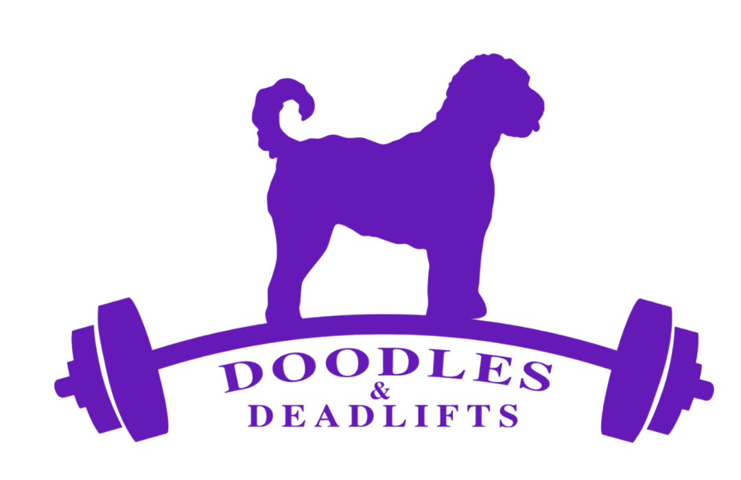 Dog Boarding Intake Form DOODLES DEADLIFTS dog-boarding-intake-form-doodles-deadlifts