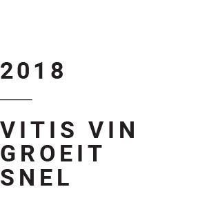 geschiedenis6 (1).png