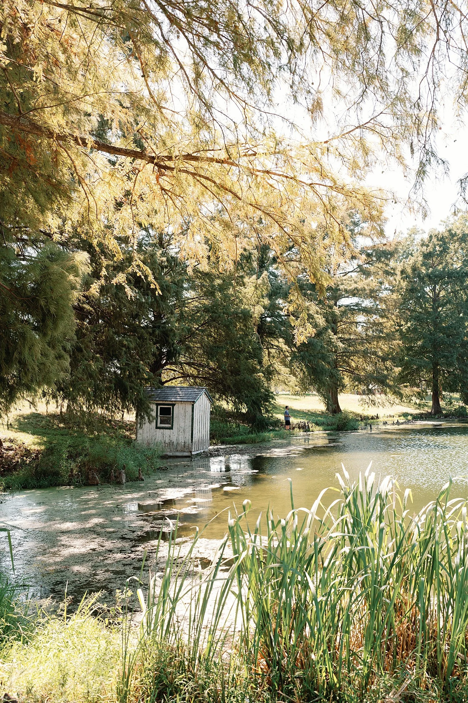  river runs under trees at Springs Lake Ranch in Waco, Texas 