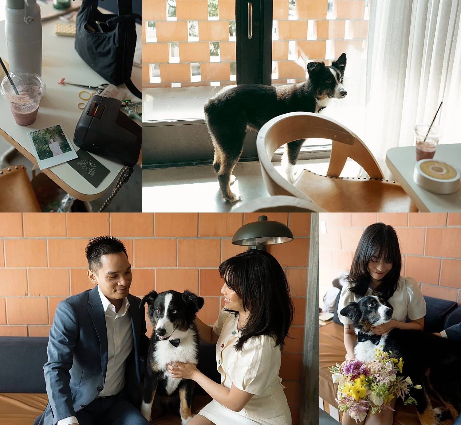  couple plays with their dog in the Carpenter hotel by Texas wedding photographer 