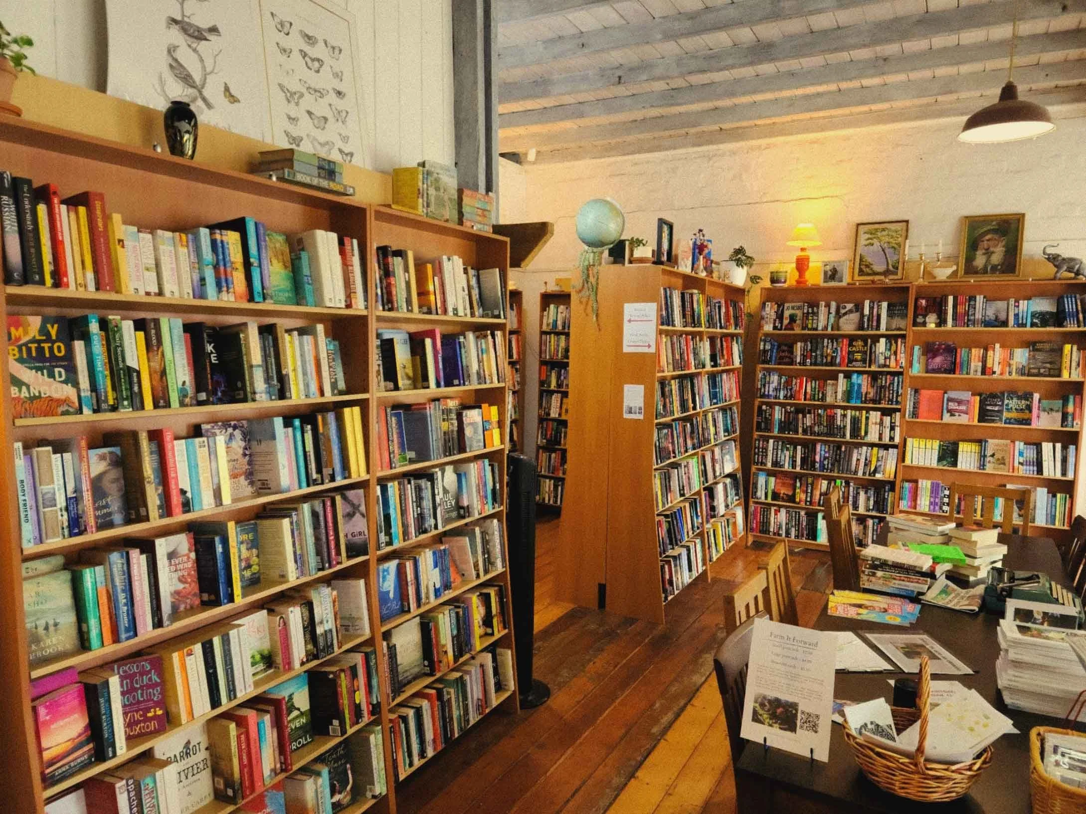 RoseyRavelston Books