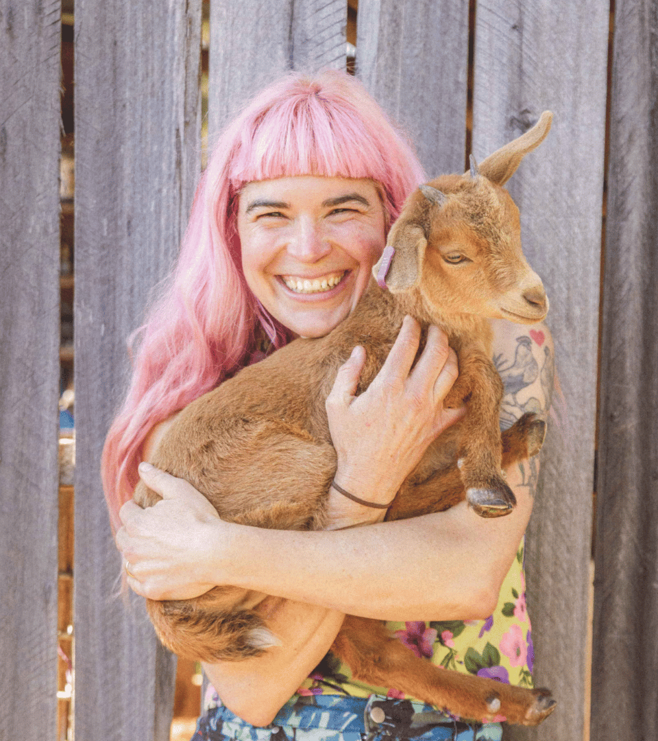 WHY WE GARDEN: Hannah Moloney in conversation with Amy Sambrooke