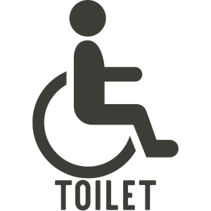 Accessible toilet icon