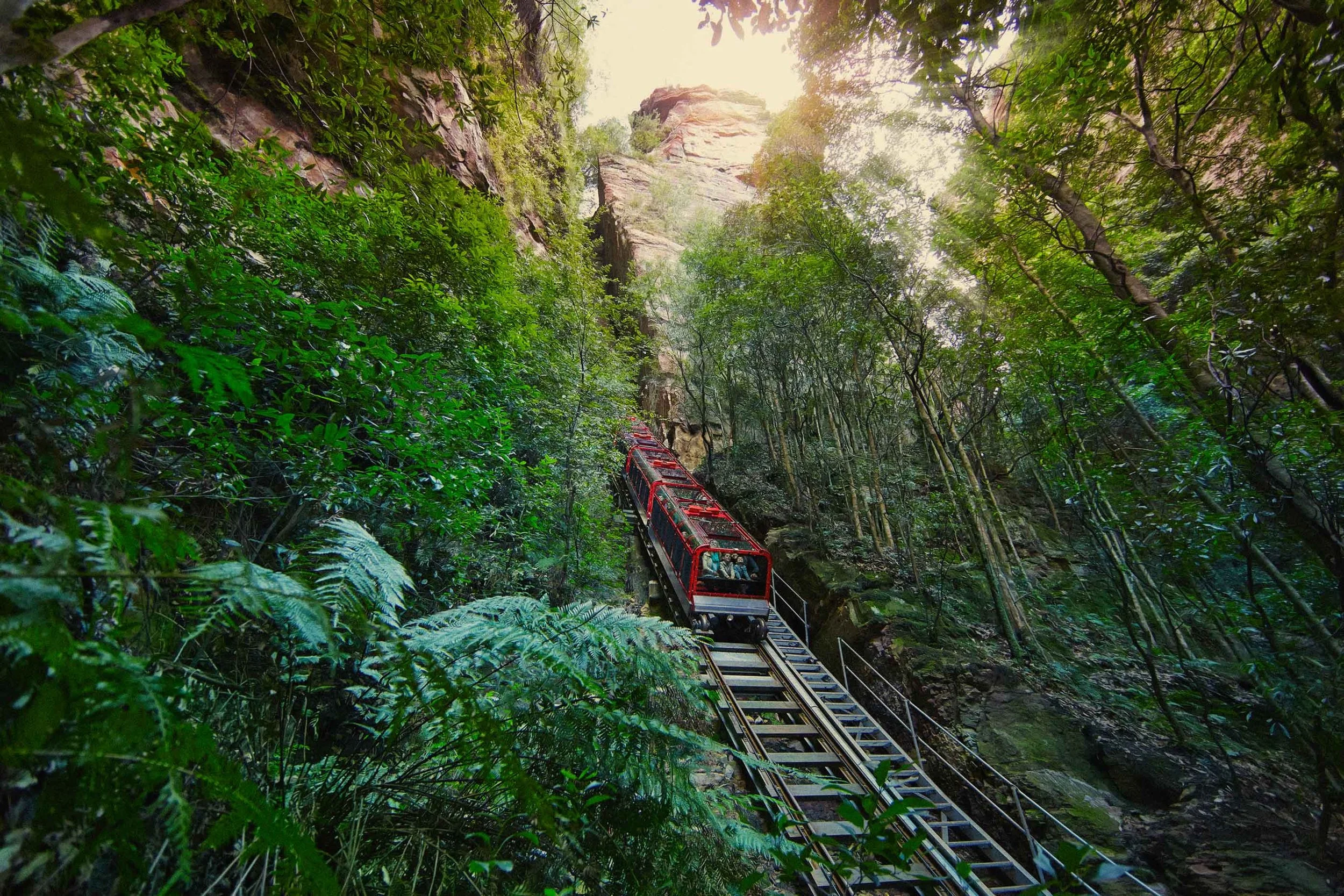 The Scenic Railway