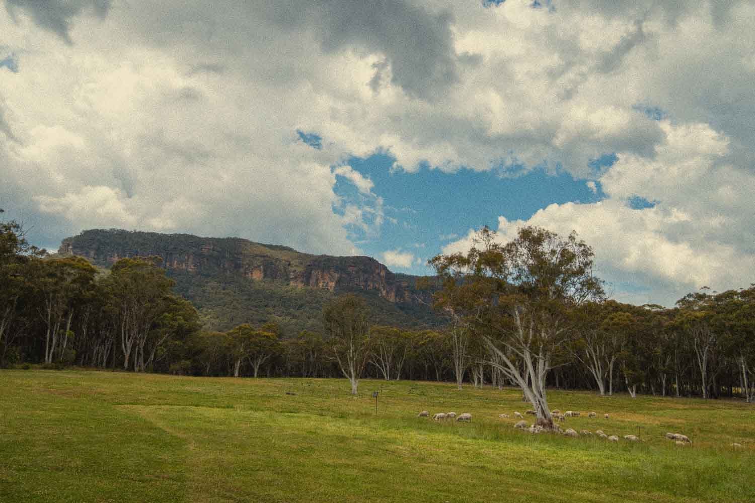 An image of the Megalong Valley