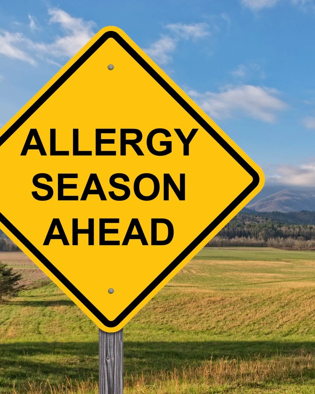 🌼🤧 We're excited for the warmer weather, but not so much about the allergy triggers that come with spring. My next newsletter drops on Tuesday, Mar. 17th. I'll be sharing my approach to surviving the season. Subscribe (link in bio)