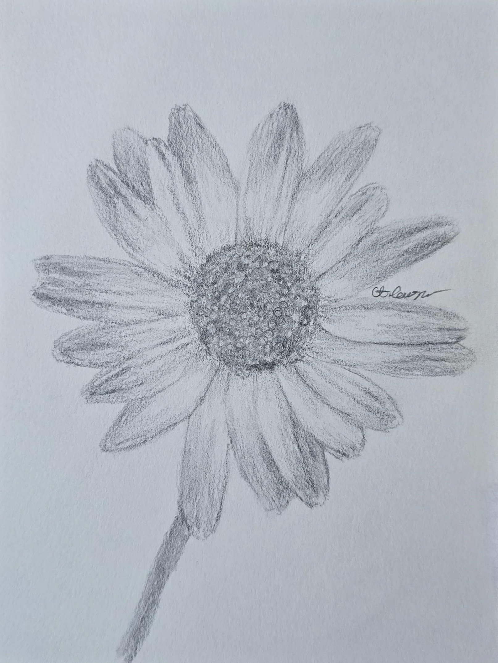 Daisy Original