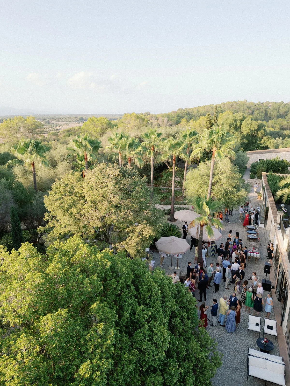 by Pablo Laguia Sophia & Harry 031389 (1).jpg