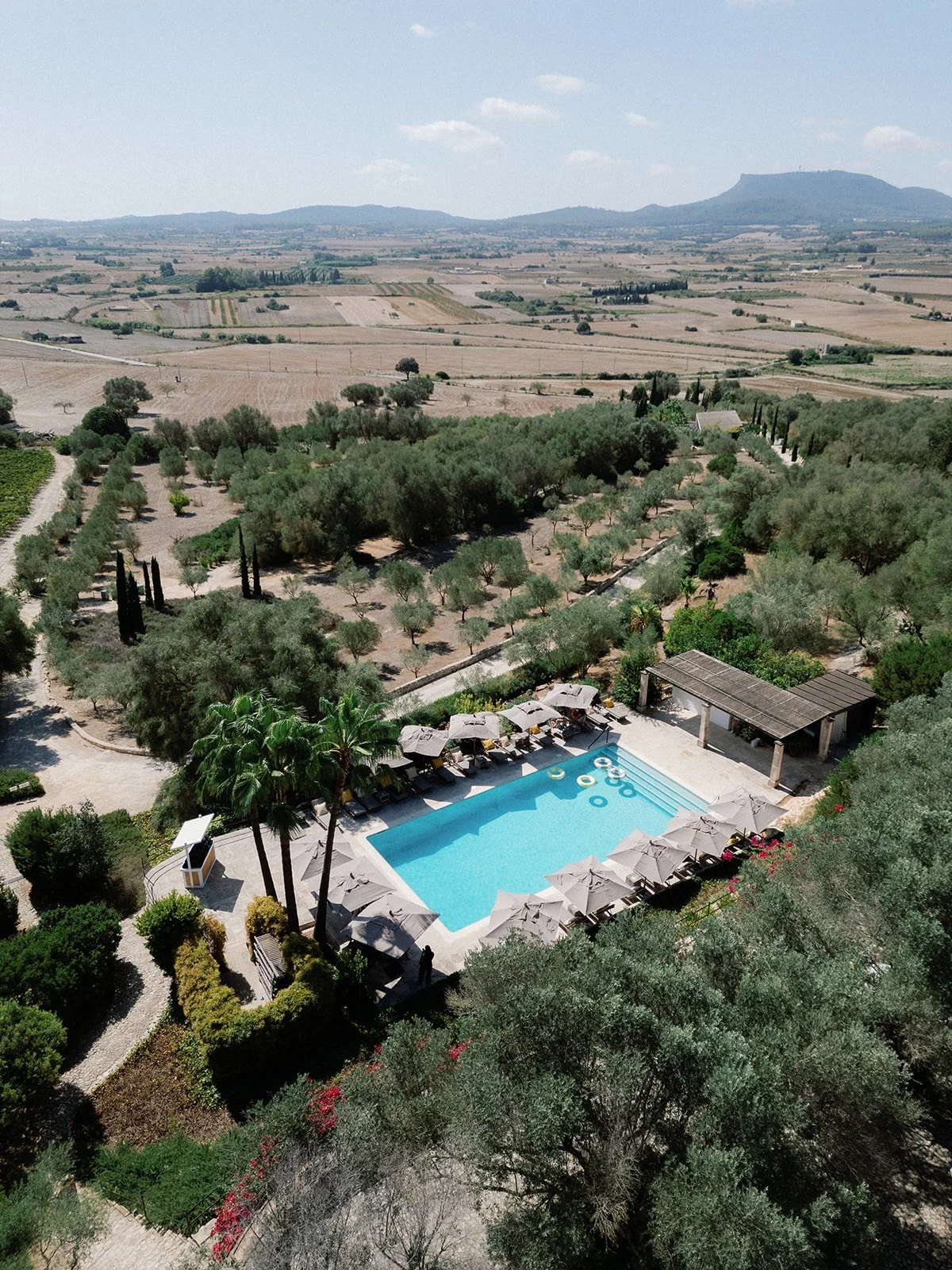 by Pablo Laguia Sophia & Harry 031496.jpg