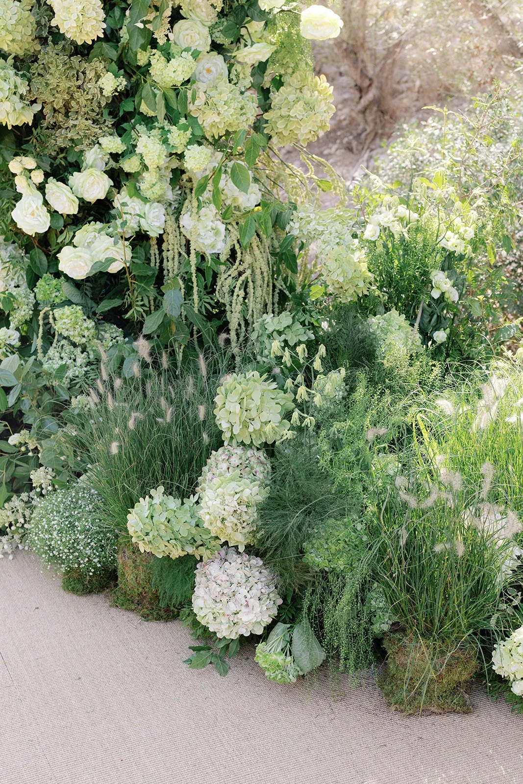 by Pablo Laguia Sophia & Harry 015480.jpg