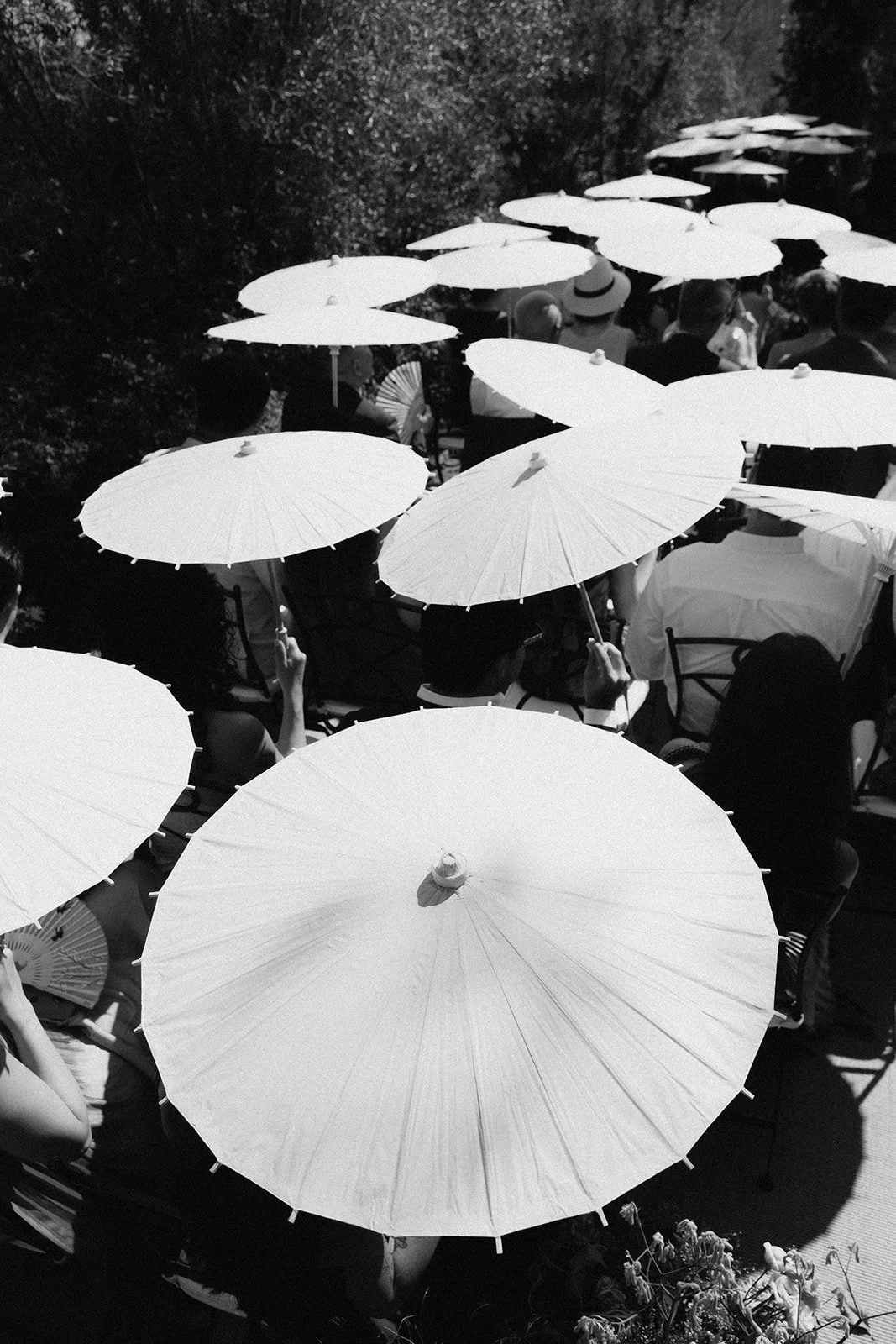 by Pablo Laguia Sophia & Harry 017001.jpg