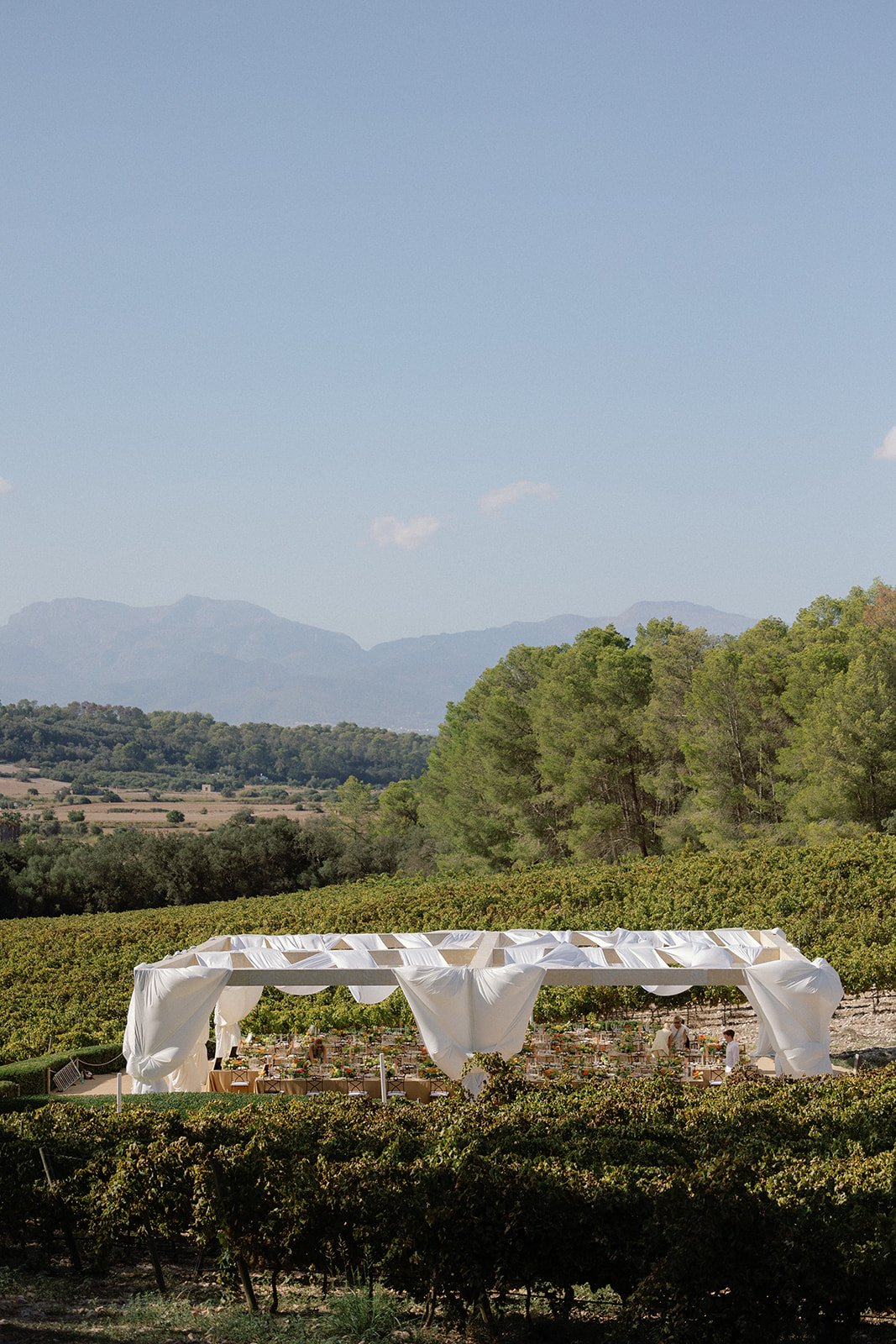 by Pablo Laguia Sophia & Harry 020107.jpg