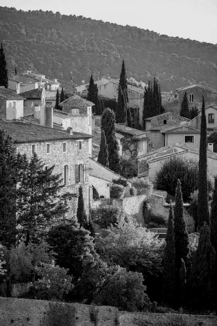 PROVENCE - FRANCE