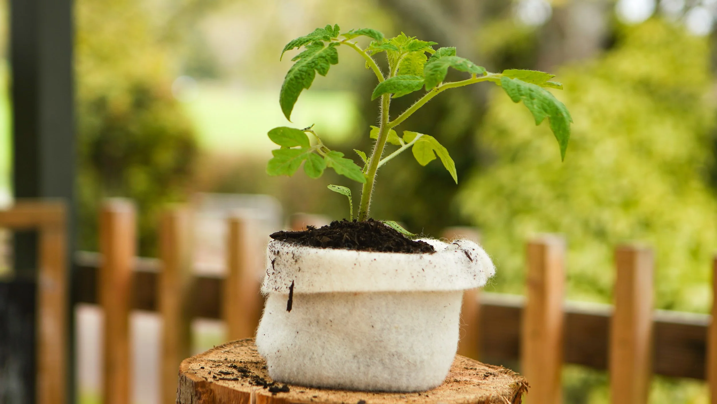 Sustaina Grow Wool Garden and Landscape Products