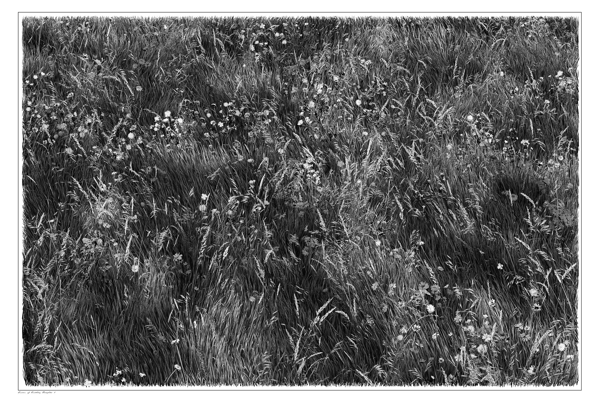 The Garden of Earthly Delights. 112cm x 72cm.
