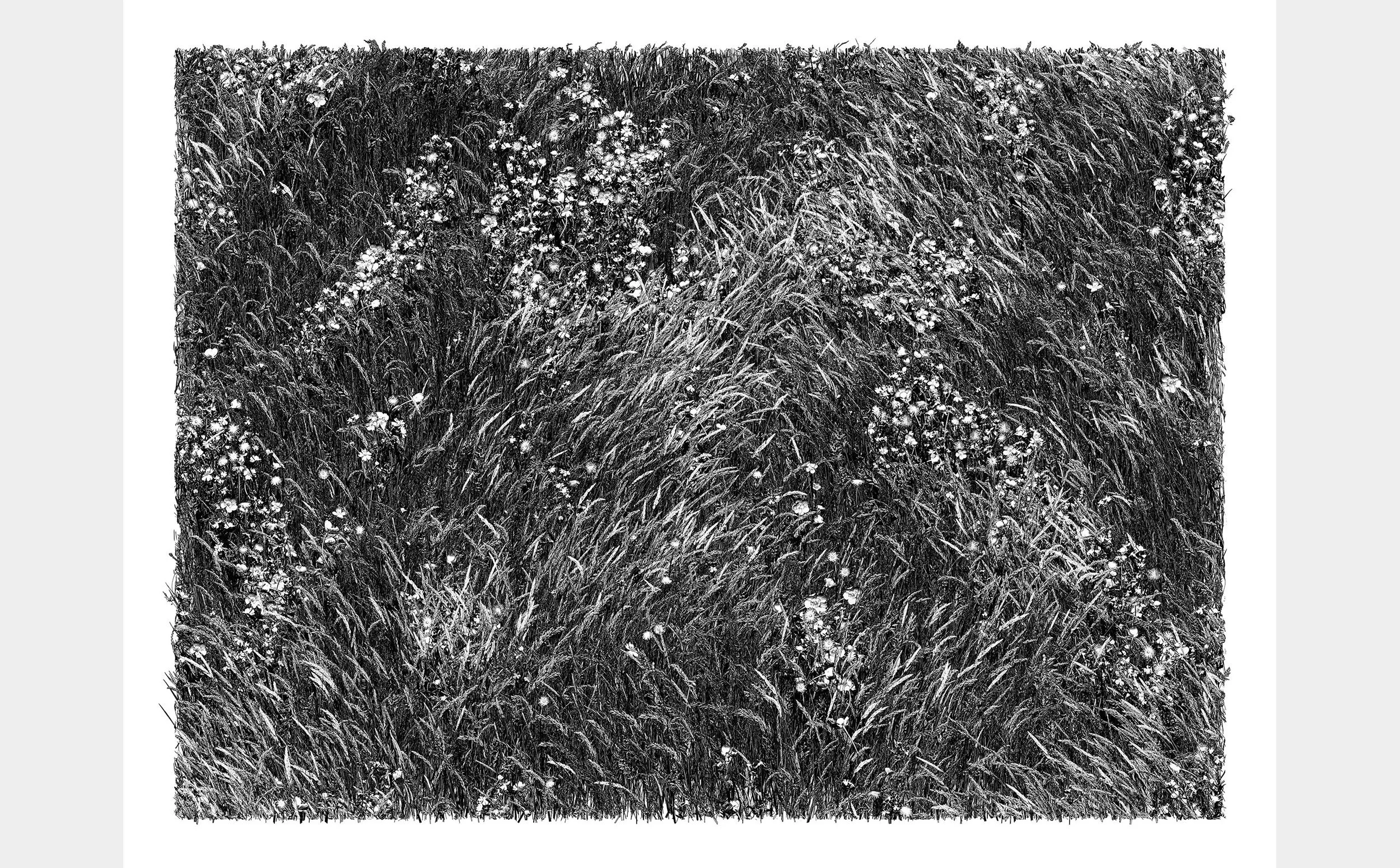 Meadow with Bright Grass (2023). 91 x 124 cm (Click to zoom)
