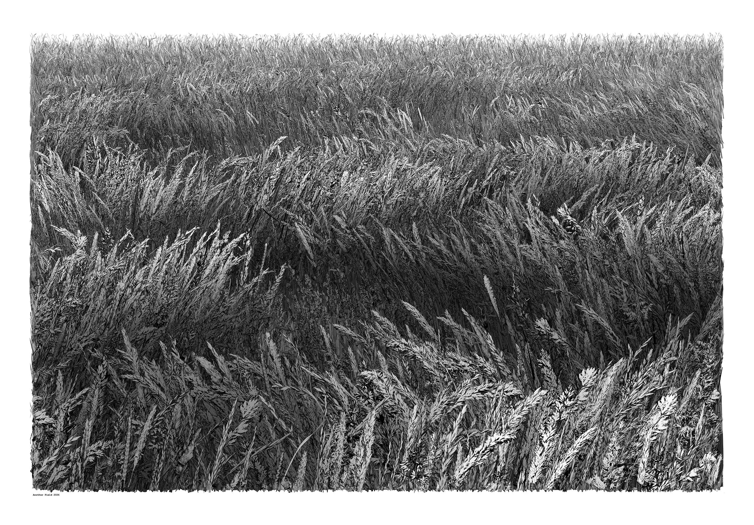 Another Field 2026 - 76cm x 112cm
